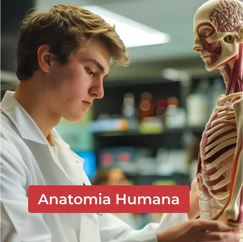 Anatomia-Humana-Capa-1